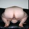 Fat Mature Porn Woman